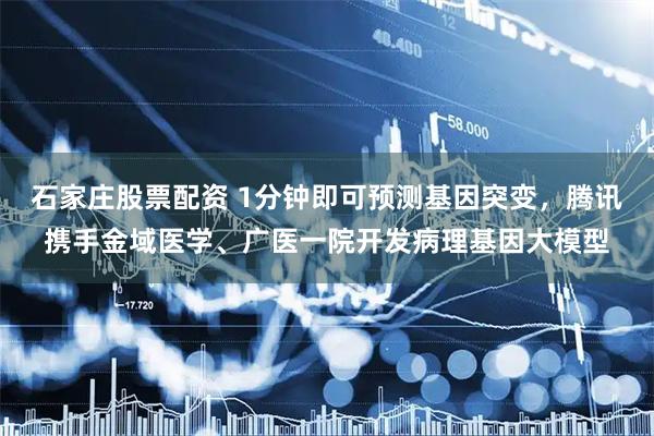 石家庄股票配资 1分钟即可预测基因突变,腾讯携手金域医学、广医一院开发病理基因大模型